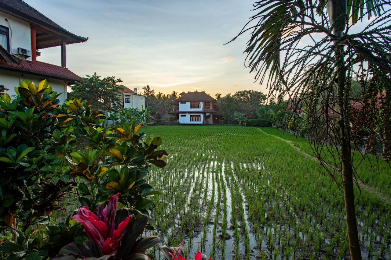 Nick'S Pension Ubud  Luaran gambar