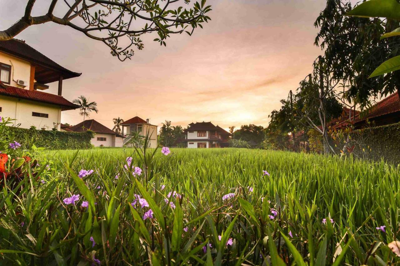 Nick'S Pension Ubud  Luaran gambar